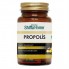 Aksu Vital Propolis Kapsül 470 Mg X 60 Adet Aksu Vital Propolis Kapsül 470 Mg X 60 Adet
