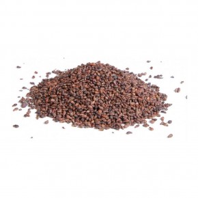 Üzüm Çekirdeği 500 gr