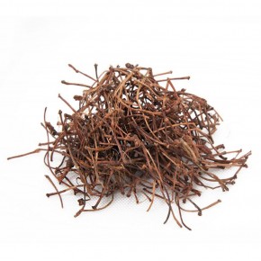 Kiraz Sapı 100 gr Kiraz Sapı 100 gr
