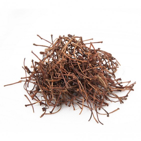 Kiraz Sapı 100 gr Kiraz Sapı 100 gr