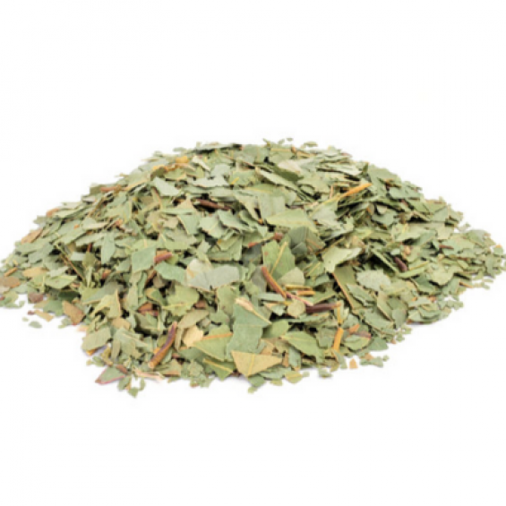 Okaliptus yaprağı 100 g