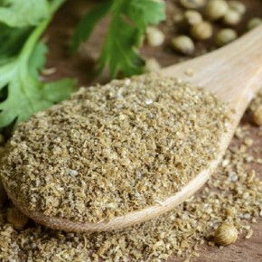 Kişniş 100 Gr Kişniş 100 Gr